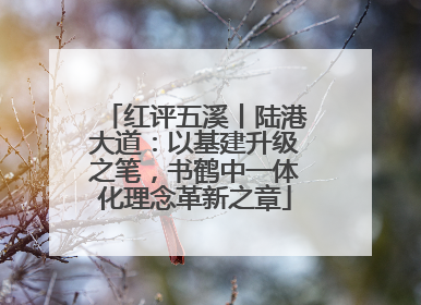 红评五溪丨陆港大道：以基建升级之笔，书鹤中一体化理念革新之章