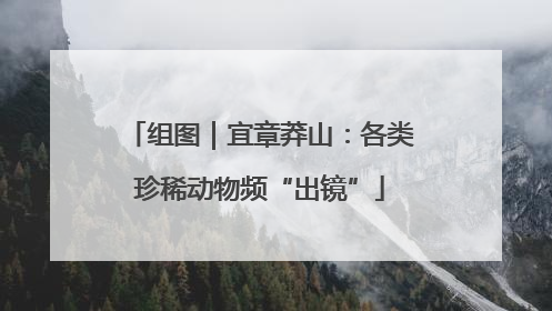 组图｜宜章莽山：各类珍稀动物频“出镜”
