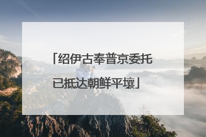 绍伊古奉普京委托已抵达朝鲜平壤