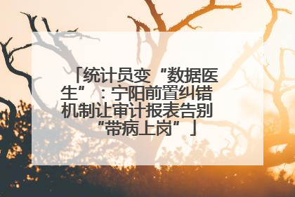 统计员变“数据医生”：宁阳前置纠错机制让审计报表告别“带病上岗”