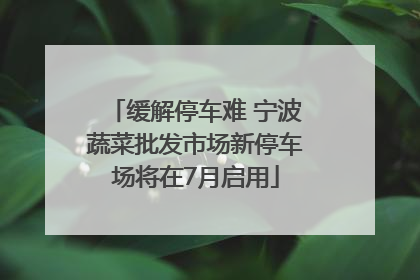 缓解停车难 宁波蔬菜批发市场新停车场将在7月启用