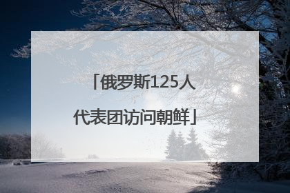 俄罗斯125人代表团访问朝鲜