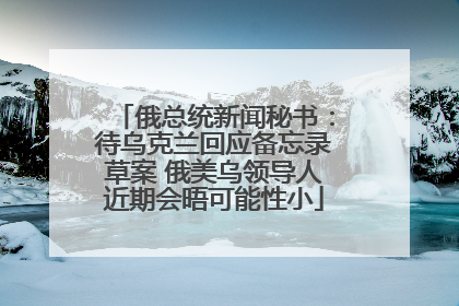 俄总统新闻秘书：待乌克兰回应备忘录草案 俄美乌领导人近期会晤可能性小