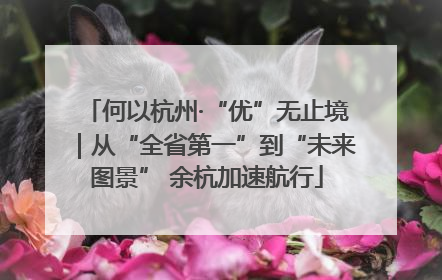 何以杭州·“优”无止境｜从“全省第一”到“未来图景” 余杭加速航行
