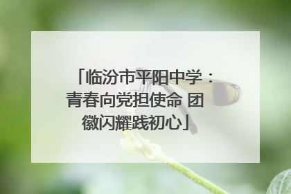 临汾市平阳中学：青春向党担使命 团徽闪耀践初心