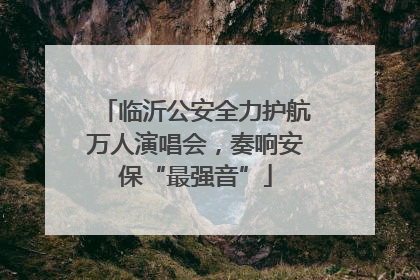临沂公安全力护航万人演唱会，奏响安保“最强音”