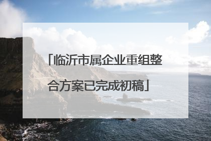 临沂市属企业重组整合方案已完成初稿