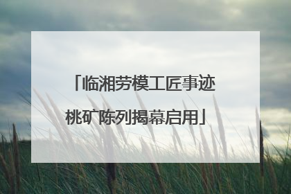 临湘劳模工匠事迹桃矿陈列揭幕启用