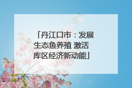 丹江口市：发展生态鱼养殖 激活库区经济新动能
