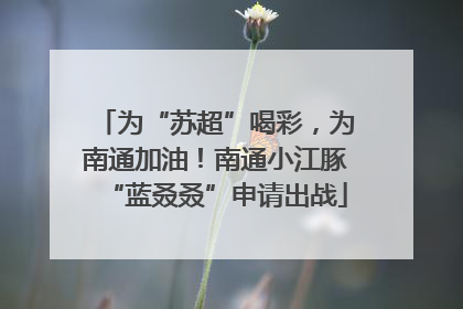 为“苏超”喝彩，为南通加油！南通小江豚“蓝叒叒”申请出战