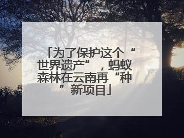 为了保护这个“世界遗产”，蚂蚁森林在云南再“种”新项目