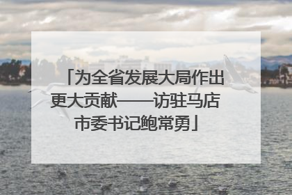 为全省发展大局作出更大贡献——访驻马店市委书记鲍常勇