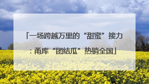 一场跨越万里的“甜蜜”接力：甬库“团结瓜”热销全国