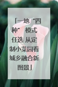 一地“四种” 模式任选 从定制小菜园看城乡融合新图景