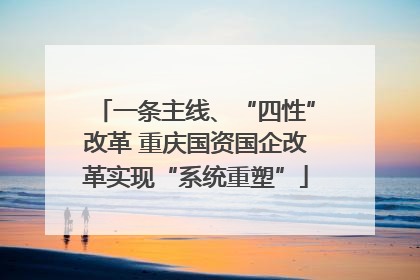 一条主线、“四性”改革 重庆国资国企改革实现“系统重塑”
