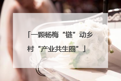 一颗杨梅“链”动乡村“产业共生圈”