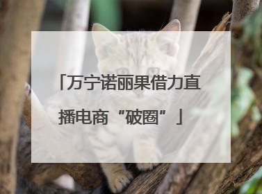 万宁诺丽果借力直播电商“破圈”