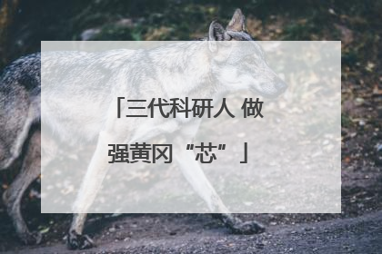 三代科研人 做强黄冈“芯”