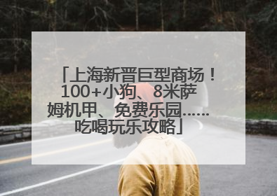 上海新晋巨型商场！100+小狗、8米萨姆机甲、免费乐园……吃喝玩乐攻略