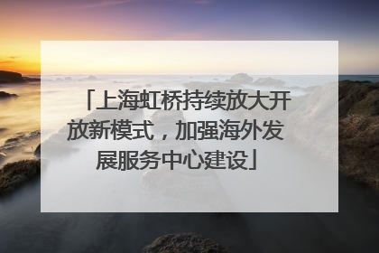 上海虹桥持续放大开放新模式，加强海外发展服务中心建设