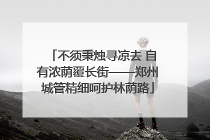 不须秉烛寻凉去 自有浓荫覆长街——郑州城管精细呵护林荫路