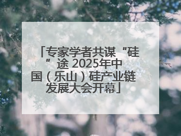 专家学者共谋“硅”途 2025年中国（乐山）硅产业链发展大会开幕