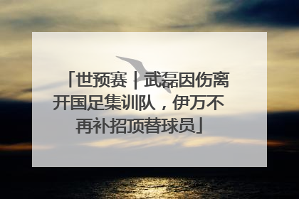 世预赛｜武磊因伤离开国足集训队，伊万不再补招顶替球员