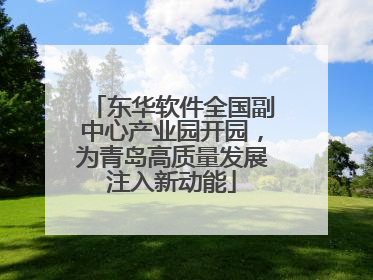 东华软件全国副中心产业园开园，为青岛高质量发展注入新动能