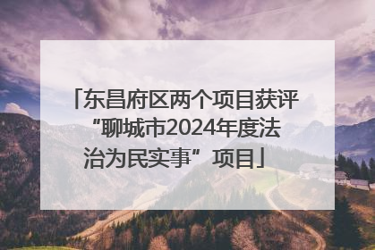 东昌府区两个项目获评“聊城市2024年度法治为民实事”项目