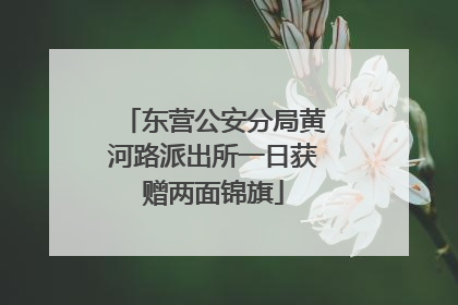 东营公安分局黄河路派出所一日获赠两面锦旗
