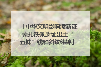 中华文明影响添新证 蒙扎铁佩遗址出土“五铢”钱和斜纹纬锦