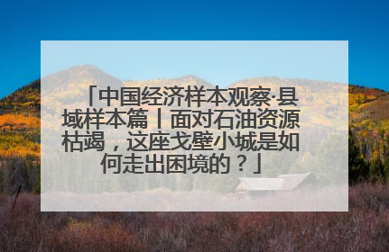 中国经济样本观察·县域样本篇丨面对石油资源枯竭，这座戈壁小城是如何走出困境的？