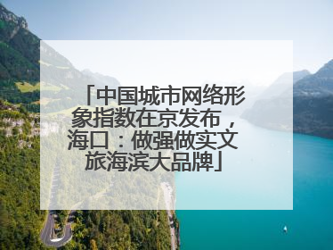 中国城市网络形象指数在京发布，海口：做强做实文旅海滨大品牌