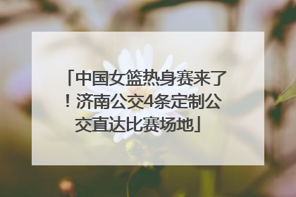 中国女篮热身赛来了！济南公交4条定制公交直达比赛场地