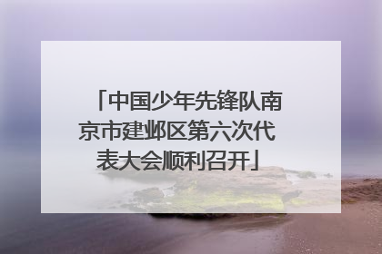 中国少年先锋队南京市建邺区第六次代表大会顺利召开