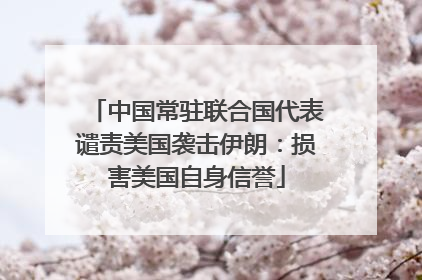 中国常驻联合国代表谴责美国袭击伊朗：损害美国自身信誉