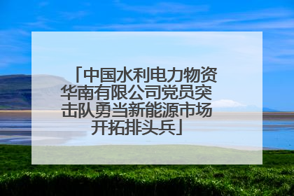 中国水利电力物资华南有限公司党员突击队勇当新能源市场开拓排头兵
