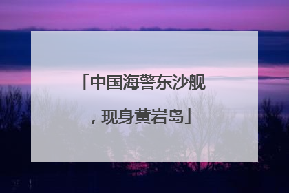 中国海警东沙舰，现身黄岩岛