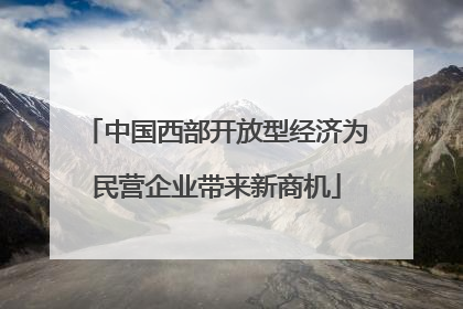 中国西部开放型经济为民营企业带来新商机