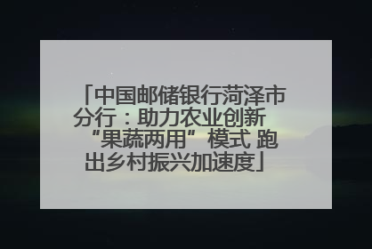 中国邮储银行菏泽市分行：助力农业创新 “果蔬两用”模式 跑出乡村振兴加速度