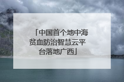 中国首个地中海贫血防治智慧云平台落地广西