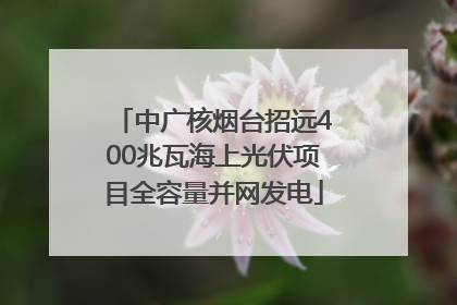 中广核烟台招远400兆瓦海上光伏项目全容量并网发电