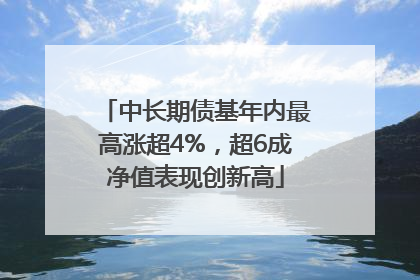 中长期债基年内最高涨超4%，超6成净值表现创新高