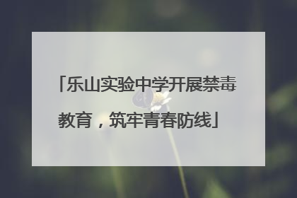 乐山实验中学开展禁毒教育，筑牢青春防线