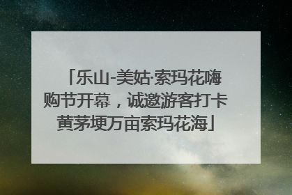 乐山-美姑·索玛花嗨购节开幕，诚邀游客打卡黄茅埂万亩索玛花海