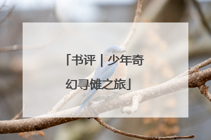 书评｜少年奇幻寻傩之旅
