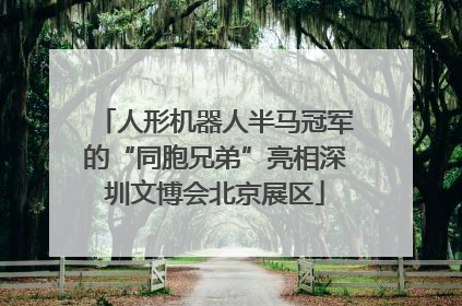 人形机器人半马冠军的“同胞兄弟”亮相深圳文博会北京展区