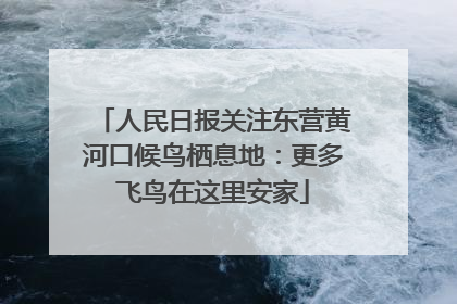 人民日报关注东营黄河口候鸟栖息地：更多飞鸟在这里安家
