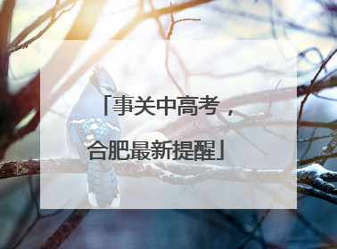 事关中高考，合肥最新提醒