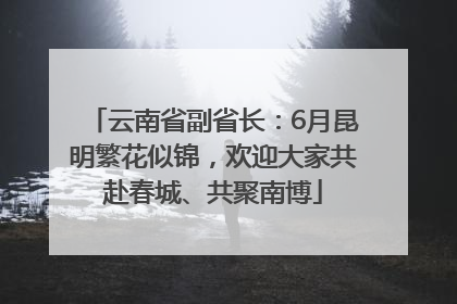 云南省副省长：6月昆明繁花似锦，欢迎大家共赴春城、共聚南博